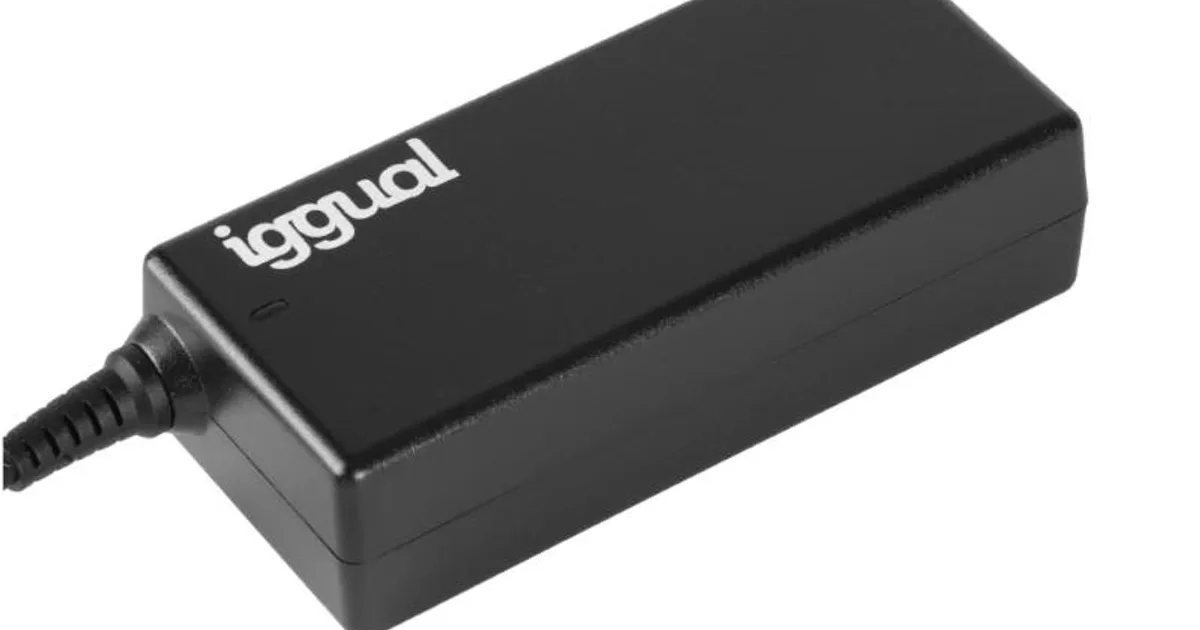 iggual Cargador Universal Automático CUA-11T-65W (4)