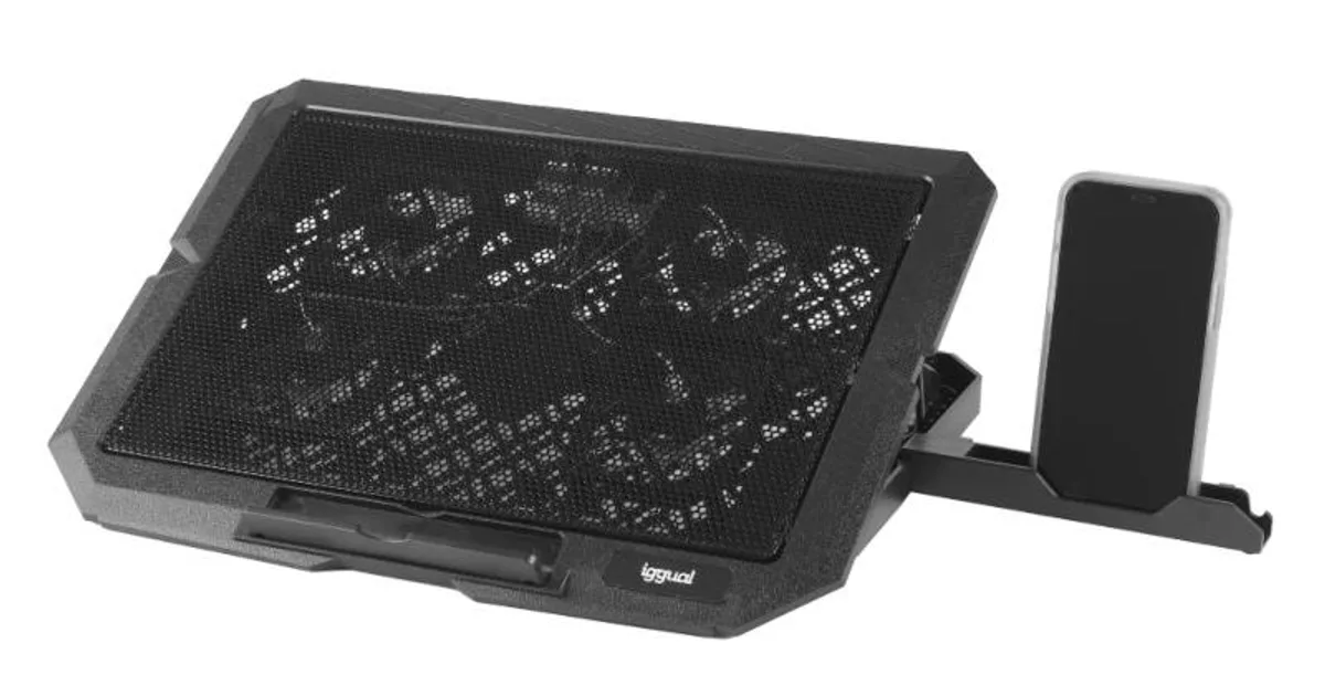 iggual Refrigerador portátil 4 ventiladores RP4V17 (2)