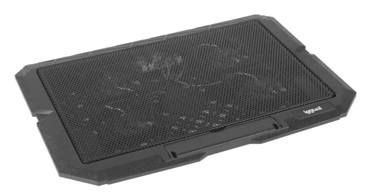 iggual Refrigerador portátil 4 ventiladores RP4V17 (4)