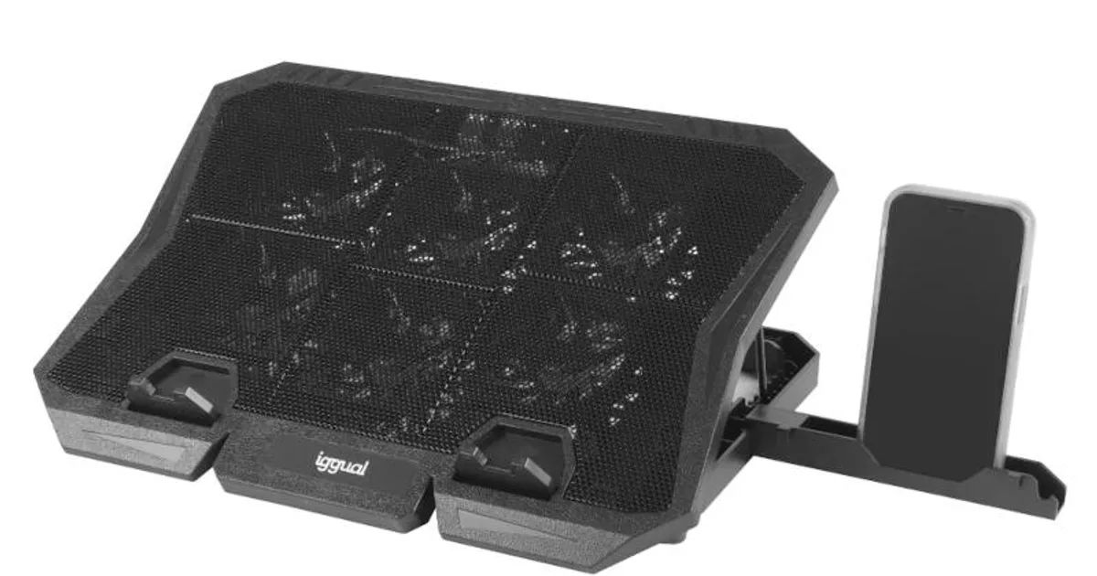 iggual Refrigerador portátil 6 ventiladores RP6V17 (3)