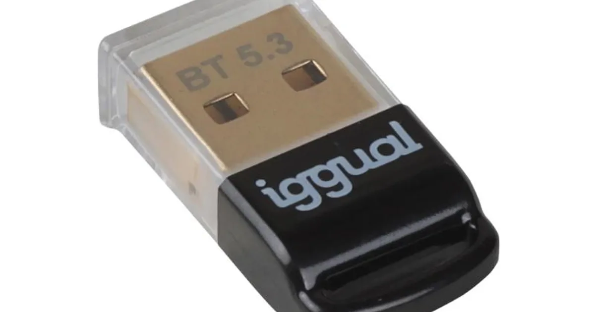 iggual Adaptador USB 2.0 mini Bluetooth 5.3