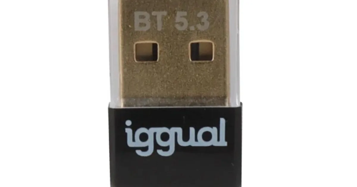 iggual Adaptador USB 2.0 mini Bluetooth 5.3 (2)