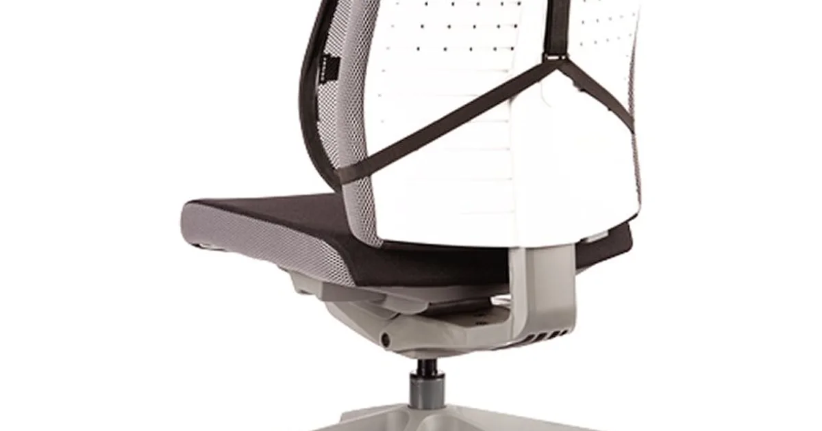 Fellowes Respaldo ergonómico rejilla Mesh Office (2)