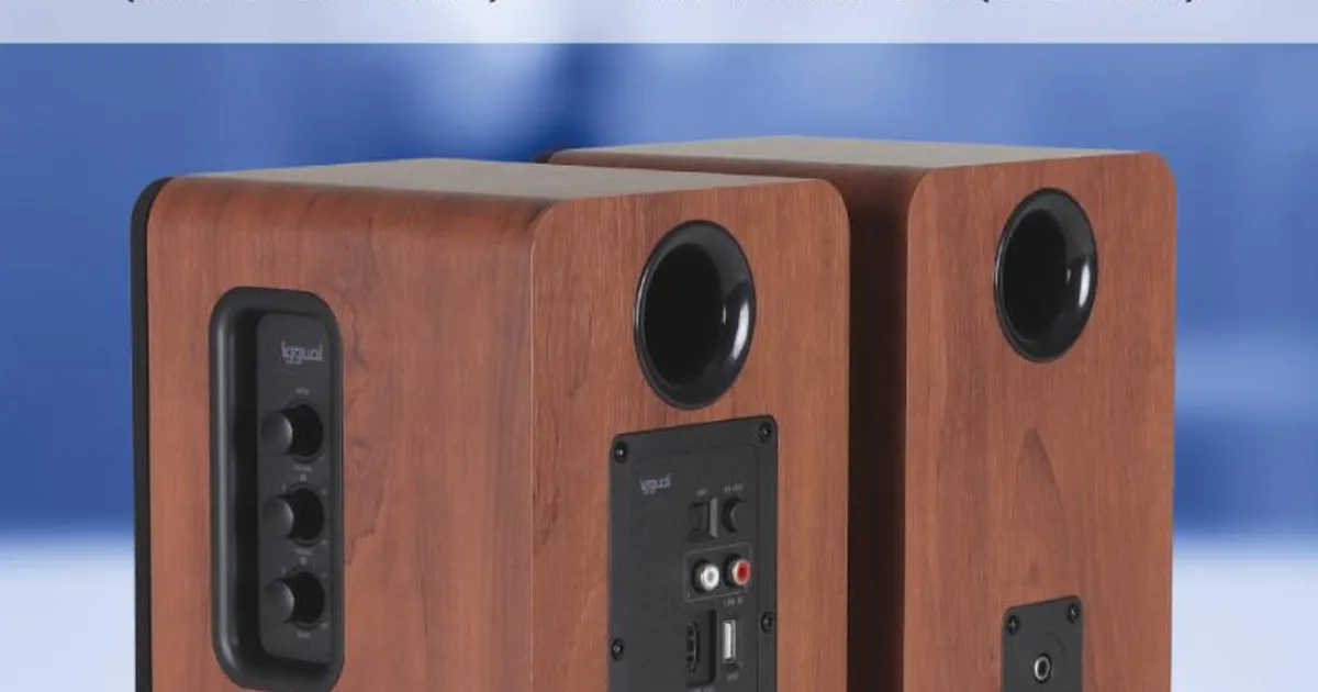 iggual Altavoces 2.0 50W Bluetooth 5.3 Home Studio (4)